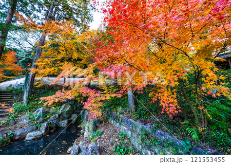 天祐寺の紅葉【長崎県諫早市】 121553455