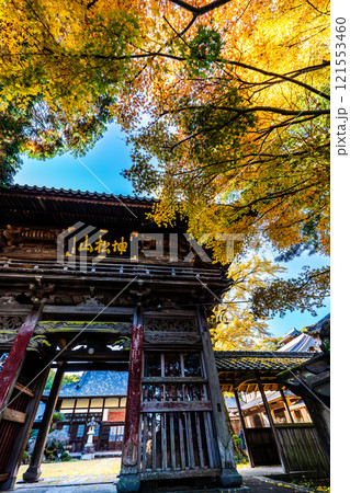 天祐寺の紅葉【長崎県諫早市】 天祐寺の紅葉【長崎県諫早市】 121553460