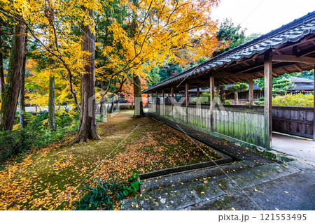 天祐寺の紅葉【長崎県諫早市】 121553495