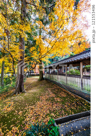 天祐寺の紅葉【長崎県諫早市】 天祐寺の紅葉【長崎県諫早市】 121553496
