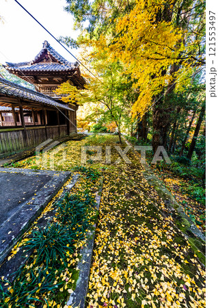 天祐寺の紅葉【長崎県諫早市】 121553497