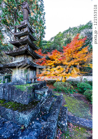 天祐寺の紅葉【長崎県諫早市】 天祐寺の紅葉【長崎県諫早市】 121553518
