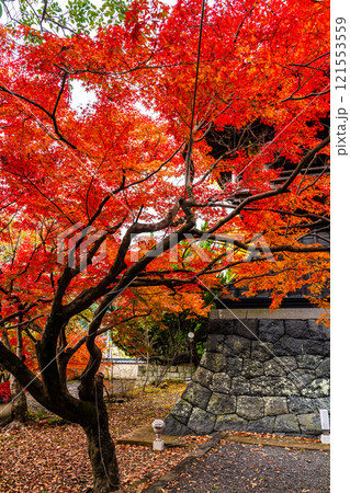 安勝寺の紅葉【長崎県諫早市】 121553559