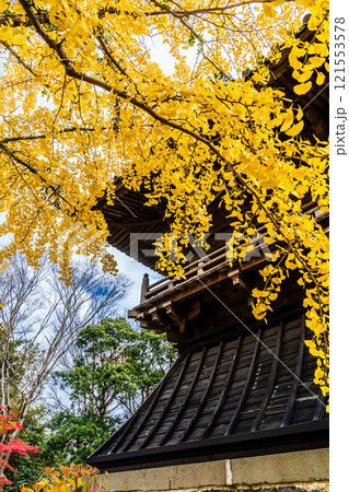 安勝寺の紅葉【長崎県諫早市】 121553578