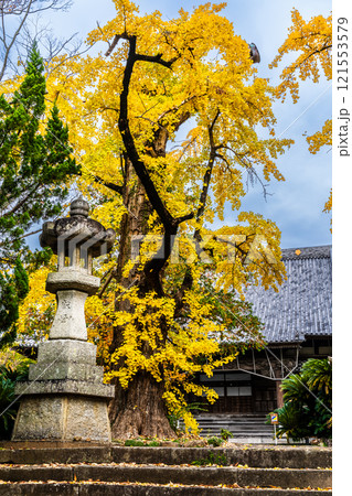 安勝寺の紅葉【長崎県諫早市】 安勝寺の紅葉【長崎県諫早市】 121553579