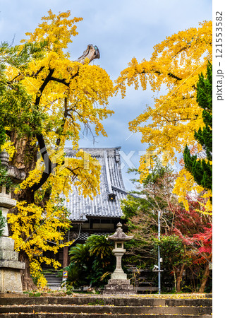 安勝寺の紅葉【長崎県諫早市】 121553582