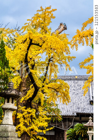 安勝寺の紅葉【長崎県諫早市】 121553583