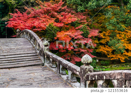 諫早公園眼鏡橋の紅葉【長崎県諫早市】 121553616