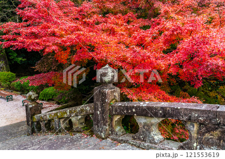 諫早公園眼鏡橋の紅葉【長崎県諫早市】 121553619