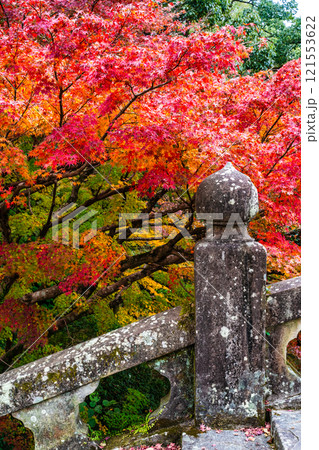諫早公園眼鏡橋の紅葉【長崎県諫早市】 諫早公園眼鏡橋の紅葉【長崎県諫早市】 121553622