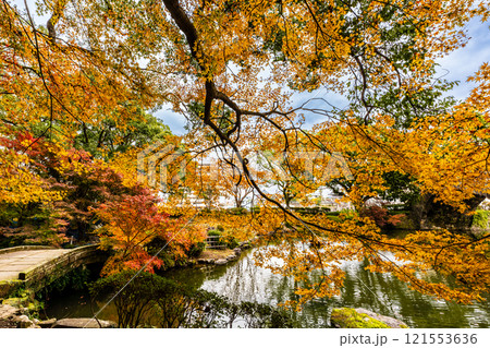 諫早公園眼鏡橋の紅葉【長崎県諫早市】 121553636