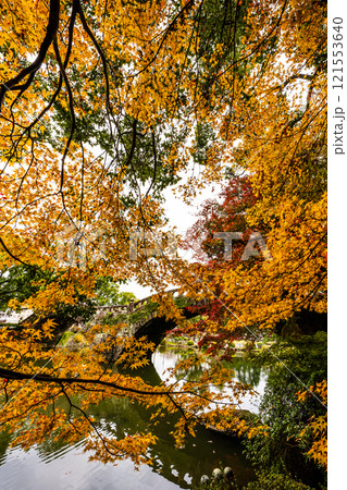 諫早公園眼鏡橋の紅葉【長崎県諫早市】 121553640