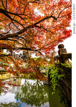 諫早公園眼鏡橋の紅葉【長崎県諫早市】 121553647