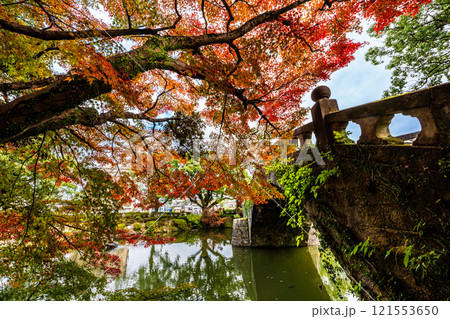 諫早公園眼鏡橋の紅葉【長崎県諫早市】 121553650