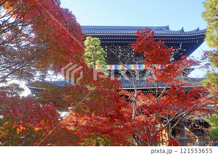 金戒光明寺・山門・紅葉（京都・左京区） 121553655