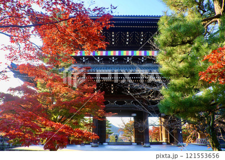 金戒光明寺・山門・紅葉（京都・左京区） 121553656