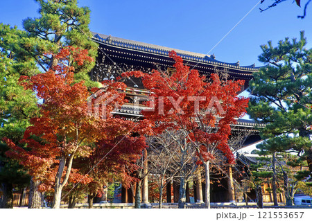 金戒光明寺・山門・紅葉（京都・左京区） 121553657