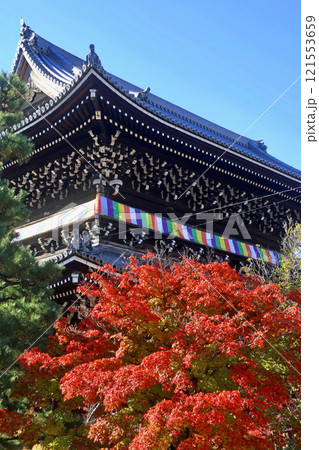 金戒光明寺・山門・紅葉（京都・左京区） 121553659