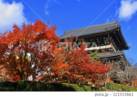 金戒光明寺・山門・紅葉（京都・左京区） 121553661