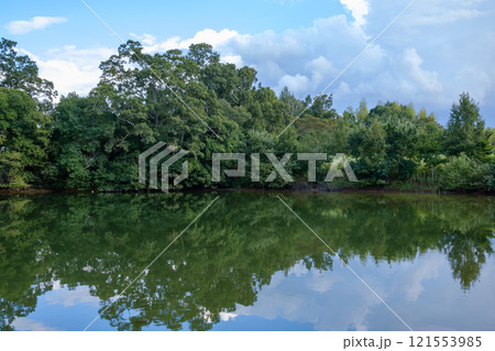 奈良県馬見丘陵公園の静寂な池の風景 奈良県馬見丘陵公園の静寂な池の風景 121553985