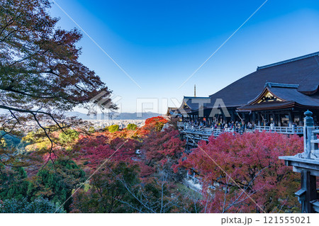 京都の清水寺と紅葉 121555021