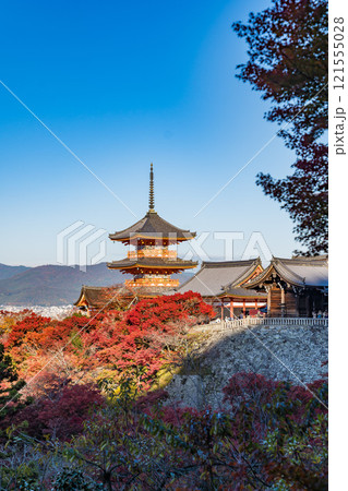 京都の清水寺と紅葉 121555028