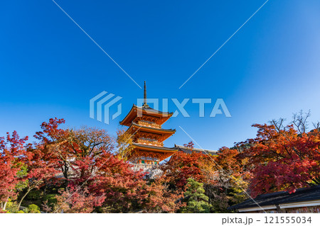 京都の清水寺と紅葉 121555034