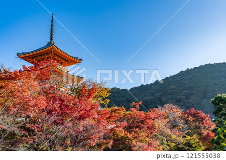 京都の清水寺と紅葉 121555038