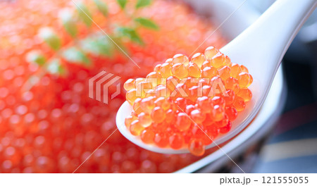 お皿に盛り付けたイクラ 121555055