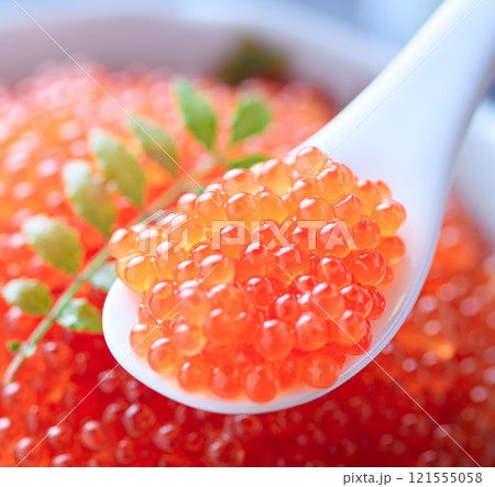 お皿に盛り付けたイクラ 121555058
