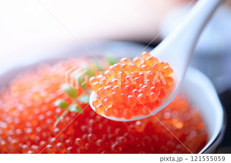お皿に盛り付けたイクラ お皿に盛り付けたイクラ 121555059