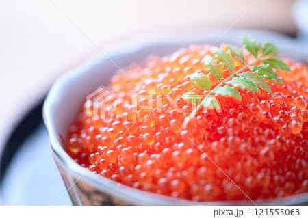 お皿に盛り付けたイクラ 121555063