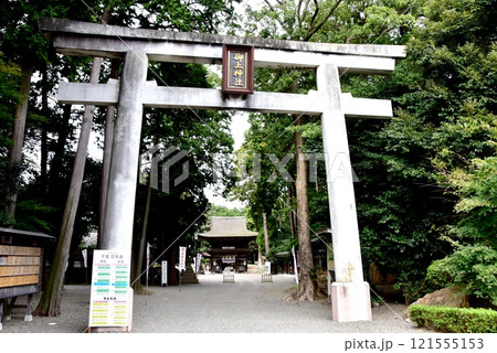 滋賀県野洲市　御神神社の鳥居と参道 121555153