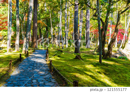 京都の苔寺、西芳寺の紅葉の日本庭園 京都の苔寺、西芳寺の紅葉の日本庭園 121555177