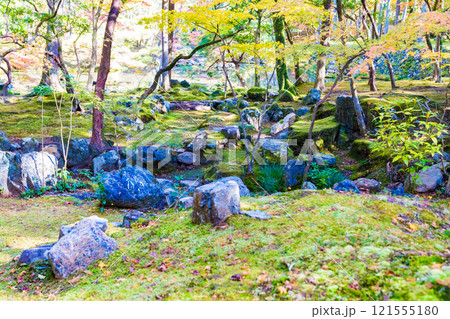 京都の苔寺、西芳寺の紅葉の日本庭園 121555180