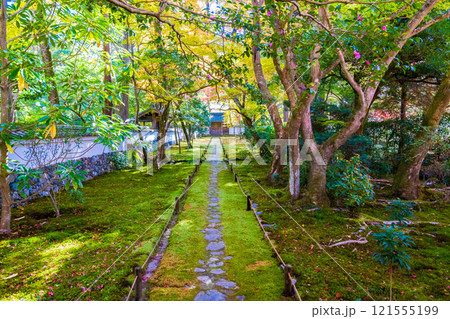 京都の苔寺、西芳寺の紅葉の日本庭園 京都の苔寺、西芳寺の紅葉の日本庭園 121555199
