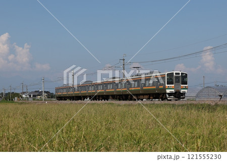 211系3000番台電車 121555230