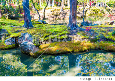 京都の苔寺、西芳寺の紅葉の日本庭園 121555234