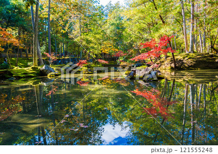 京都の苔寺、西芳寺の紅葉の日本庭園 121555248