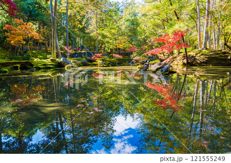 京都の苔寺、西芳寺の紅葉の日本庭園 京都の苔寺、西芳寺の紅葉の日本庭園 121555249