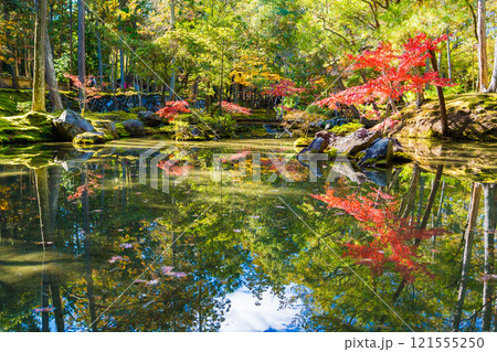 京都の苔寺、西芳寺の紅葉の日本庭園 121555250