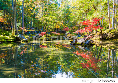 京都の苔寺、西芳寺の紅葉の日本庭園 121555253