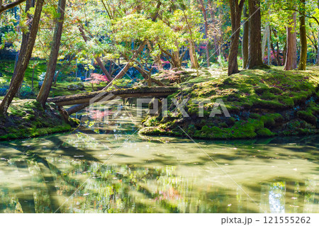 京都の苔寺、西芳寺の紅葉の日本庭園 京都の苔寺、西芳寺の紅葉の日本庭園 121555262