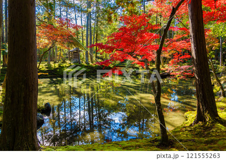 京都の苔寺、西芳寺の紅葉の日本庭園 京都の苔寺、西芳寺の紅葉の日本庭園 121555263