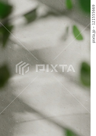 Warm beige tones. Harmony of natural shadows from sunlight streaming through the window. 3D rendering. 121555669