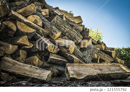Pile of firewood 121555792