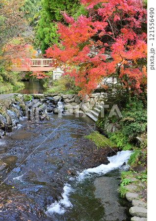 白川水源 121556490