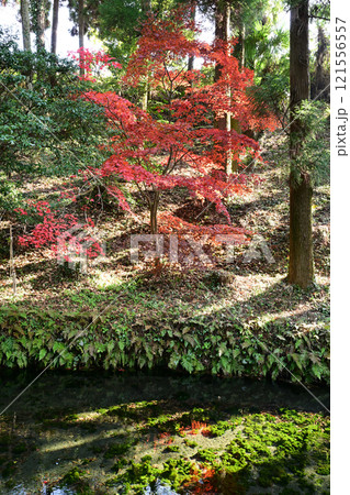 白川水源 121556557