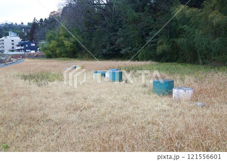 広瀬川河川敷の遊具、12月下旬 広瀬川河川敷の遊具、12月下旬 121556601