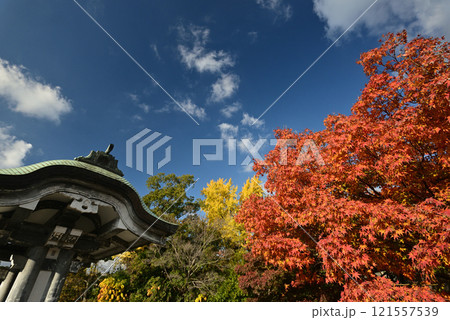 紅葉の大阪豊国神社 121557539
